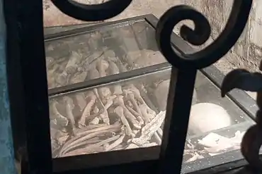 Photograph showing the glass-covered family burial collection of scattered bones, including a rib cage and two skulls.