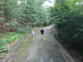 Two people walking on a path