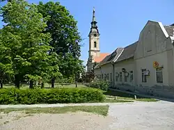 The Orthodox Church