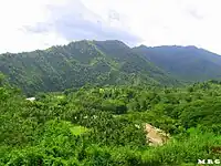 The highlands of Bayugan. This is seen from the Santa Irene Overview.