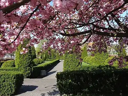 Plaza in springtime