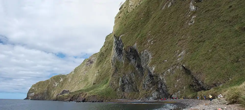  Steep green cliffs with a small shoreline with low vegetation