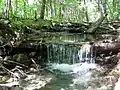 Bear Brook on the lower slopes of Lead Mt.