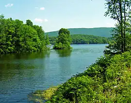 Beaverdam Lake, the lake the community is named after