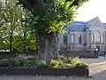 Tree in front of church