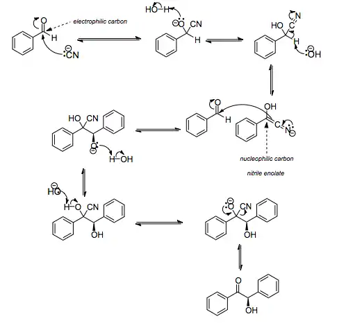 Mechanism of the benzoin condensation