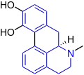 Apomorphine (one additional ring closure)