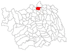 Location in Bacău County