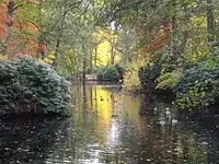 A small river in autumn