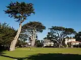 Berwick Park between Lovers Point and the Monterey Bay Aquarium