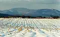 Big Mountain Summit as seen from Fannettsburg, Pennsylvania.