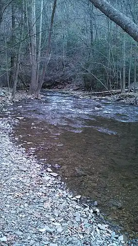 River flowing over rocks