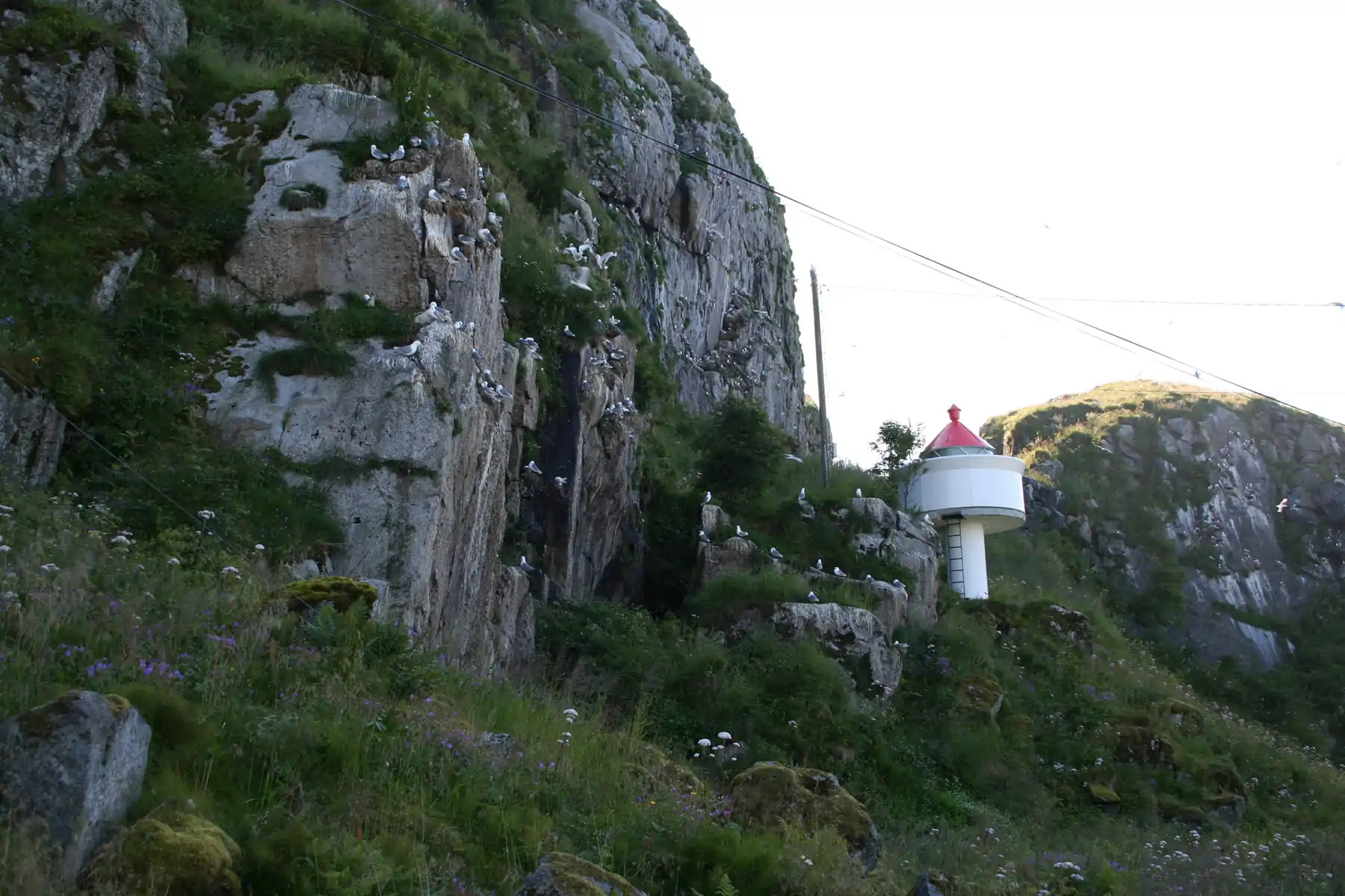 Bird mountain Nykvåg 2.jpg