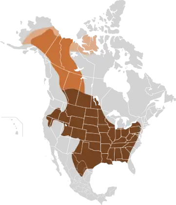 Original distribution of plains bison and wood bison in North America along the "great bison belt". Holocene bison (Bison occidentalis) is an earlier species at the origin of plains bison and wood bison.   Holocene bison  Wood bison  Plains bison