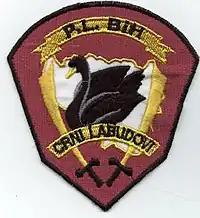 Crni Labudovi