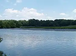 Picture of Blackbird Creek at Blackbird Creek Reserve