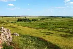 Blue Tract Stones in Tyulgansky District