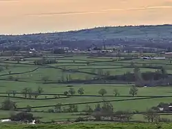 Bocage landscape in the Arconce valley