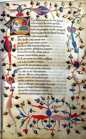 A page of illuminated manuscript. A picture is drawn in the loops of the "S" that opens the text. The theme round the edge of the page includes berries and birds with intertwined necks.