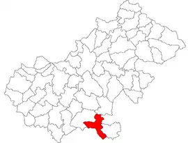 Location in Satu Mare County