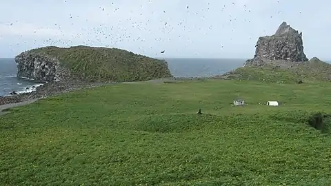 Surface of the island in August 2009, showing the 1926–1928 lava dome (left) and 1992 lava dome (right)