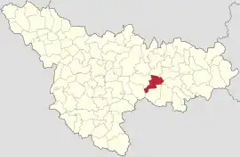 Location in Timiș County