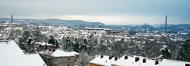 Winter panorama