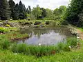 Lake in the Botanical Gardens