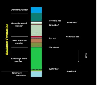 Stratigraphic section of the Bouldnor Formation