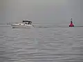 Starboard lateral Buoy (Lateral mark - Region B - IALA ) as Channel Marker Buoy at "Río de la Plata" river, Buenos Aires, Argentina