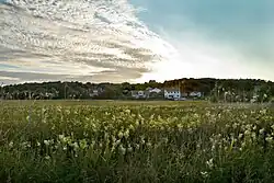 A field close to the center of the island