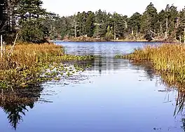 View of Bradley Lake