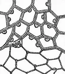 Needle lace, showing button hole stitch