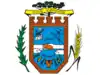 Official seal of Dois Vizinhos