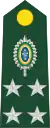 General de exército(Brazilian Army)