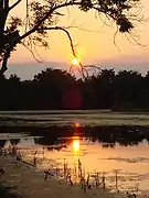 Elm Lake during evening.