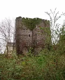 A small, ruined castle of rough stone comprising two connected, castellated towers, partly covered in ivy, surrounded by much vegetation. Numerous arrowslits indicate the walls to be three to four storeys tall. The upward direction of the image suggests that the castle is at the top of a hill