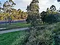 Cumberland Highway as seen from the Brenan Park walking track.