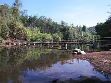 Kuppam river