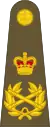 Field marshal of the British Army epaulette