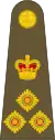 Brigadier