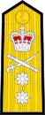 Shoulder board prior to 2001