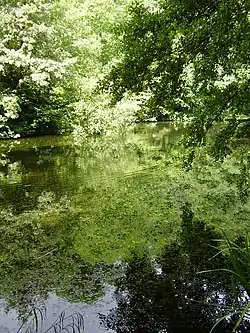 Image 10Credit: O1iveBrockhill Country Park is dominated by a large grassy valley, bisected by the Brockhill Stream as it makes its way to the Royal Military Canal at Hythe.

More about Brockhill Country Park...
 (from Portal:Kent/Selected pictures)