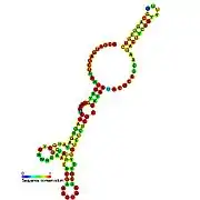 BsrF:  Secondary structure taken from the Rfam database. Family RF01411