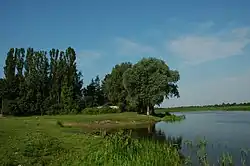 Bug River in Kuligów