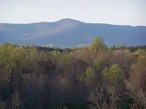 Bull Mountain in Patrick County