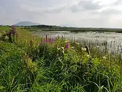 Bunduff Lough