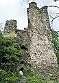 Rheinberg castle keep ruins, near Lorch