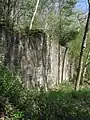 Remains of the castle wall to the south