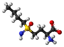 Ball-and-stick model of buthionine sulfoximine as a zwitterion